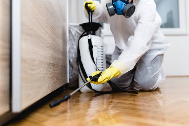 Pest Prevention Services in Culver City, CA