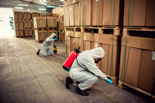 Best Pest Prevention Services  in Culver City, CA