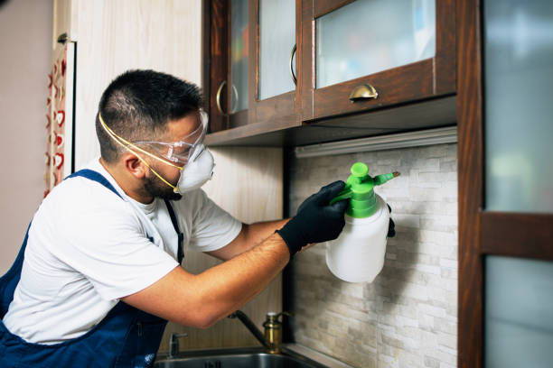 Best Best Pest Control Companies  in Culver City, CA