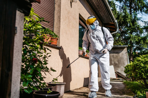 Best Best Pest Control Companies  in Culver City, CA