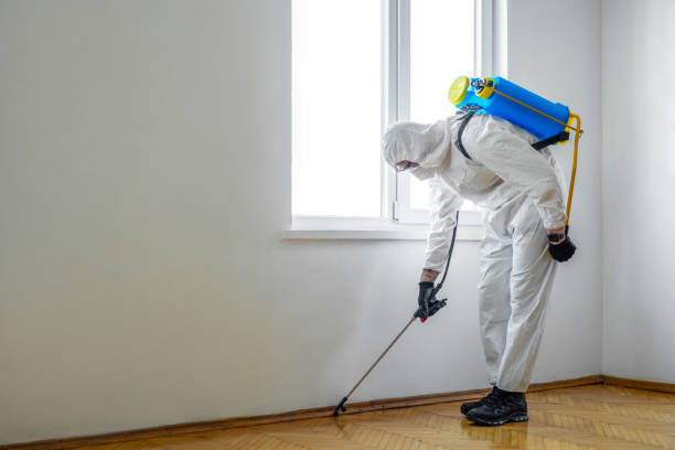 Best Bed Bug Extermination  in Culver City, CA