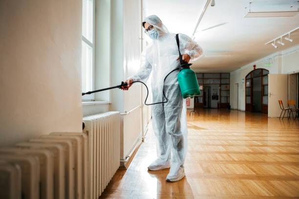 Best Local Pest Control Services  in Culver City, CA